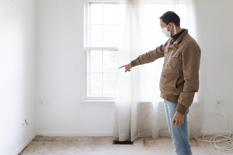 Mold remediation in Louisville KY