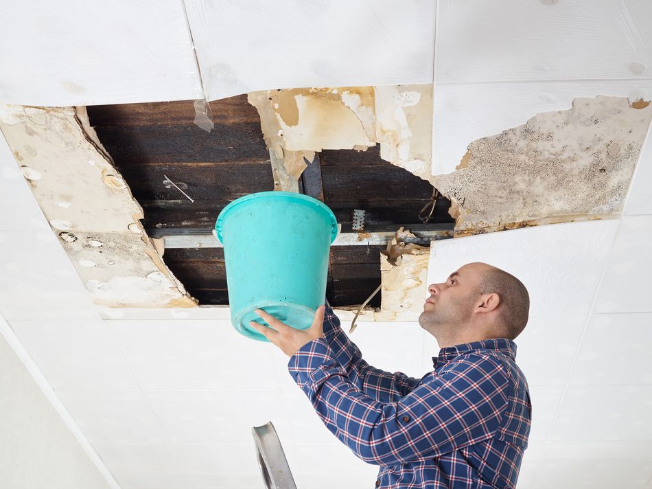 Water extraction during a Louisville water damage job